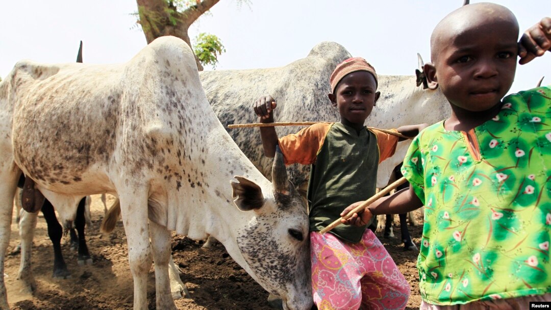 ‘Ya'yan Fulani