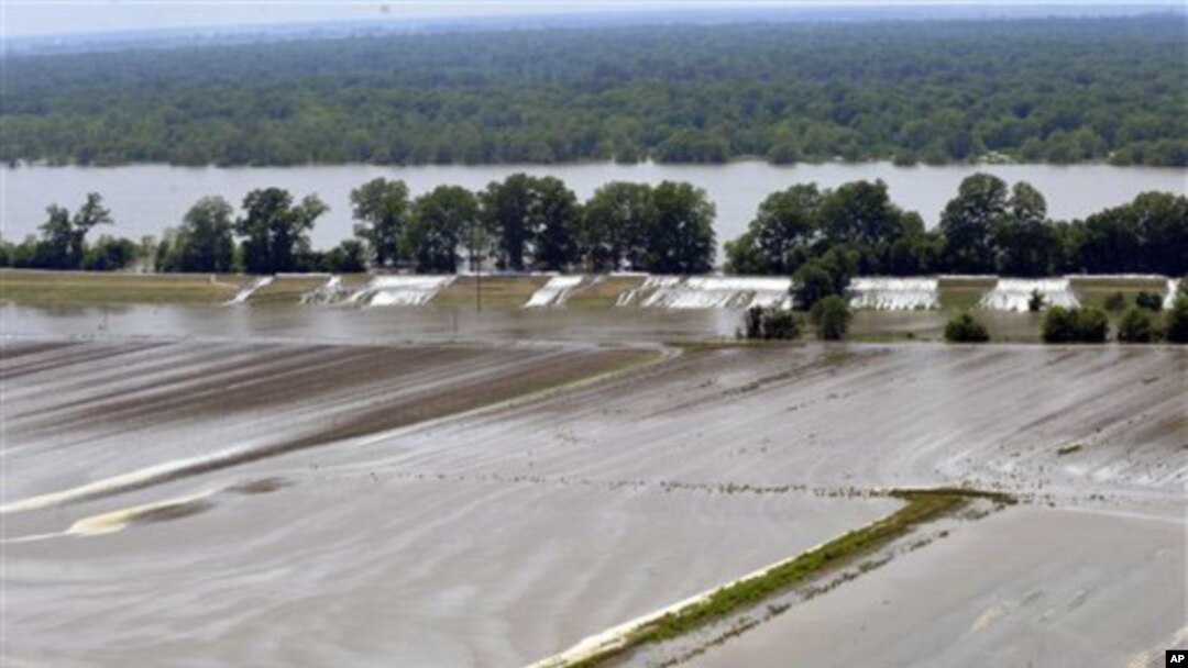 Campos de cultivo inundados pelas cheias
