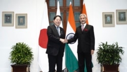 日外相訪印度、南非等國說服支持抗中，專家:日本具有一定的優勢