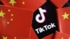 TikTok上的台湾政治风向：民进党一面倒挨打，柯文哲声量高