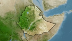 በጎሮ ዶላ ወረዳ 11 ተማሪዎች እና አንድ መምህር መታሰራቸው ተገለፀ