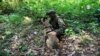 Sigue la búsqueda de Wilson, el perro que fue clave en encontrar a los niños en la selva de Colombia 