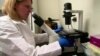 Influenza Virus Can Be Deadlier Than War
