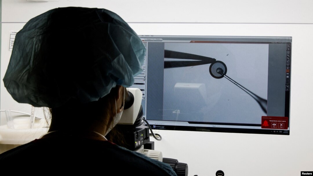 An employee demonstrates the work process before freezing eggs in a Fertility Research lab at Cha Fertility Center in Bundang, South Korea, April 30, 2022. (REUTERS/Heo Ran)