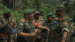 Sango ya Mokili Lelo: UDPF na FARDC bapesani batomboki ba ADF koleka 50 na Kasindi
