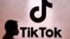 欧盟对TikTok展开合规调查，欧洲议员对TikTok爱不释手