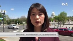 共和党参议员联名致函联合国 反对中国官员进入人权理事会协商小组