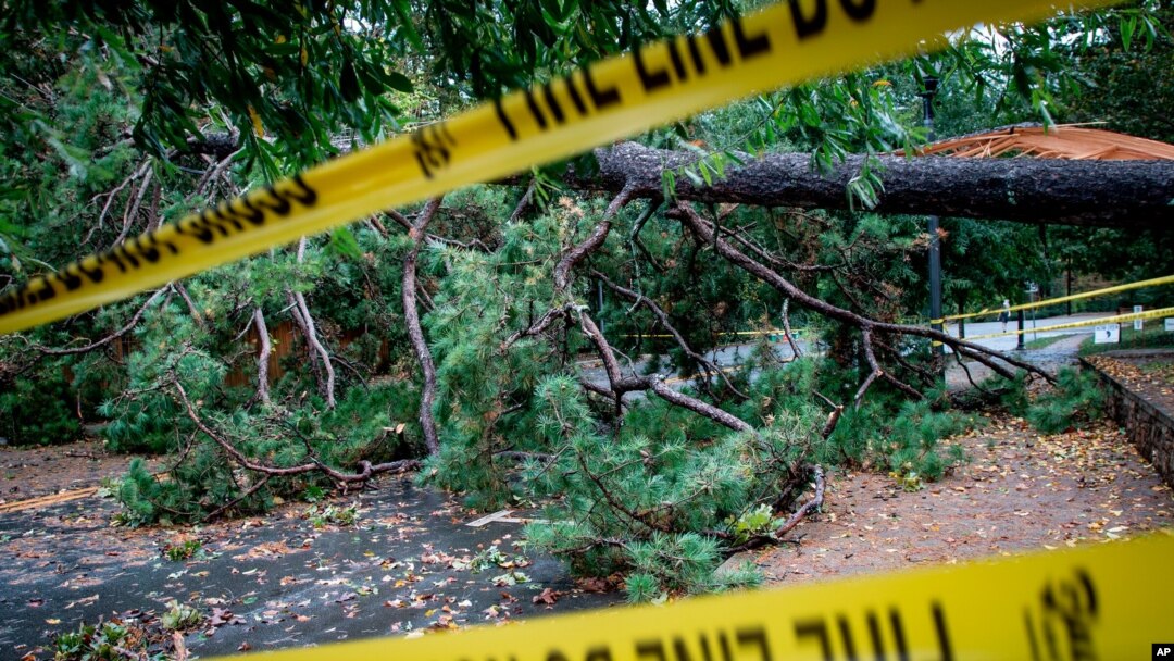 A downed tree blocks a street on Oct. 29, 2020, in Decatur, Ga., a suburb of Atlanta, after the passage of Hurricane Zeta.