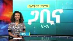 ጋቢና ቪኦኤ