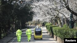 保安人員跟隨一輛5G自動汽車在關閉的武漢大學內拍攝盛開的櫻花。 （2020年3月17日）