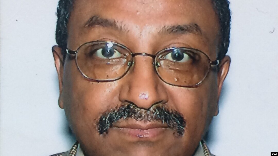 ፕሮፌሰር ብሩክ ኃይሉ