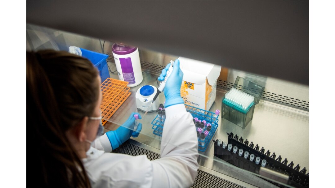 Microbiology technologists test patient samples for COVID-19 at the Wexner Medical Center in Columbus, Ohio, Dec. 6, 2021.