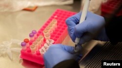 醫學界警告- 新冠疫情或導致肺結核愛滋病及瘧疾病人死亡率猛增