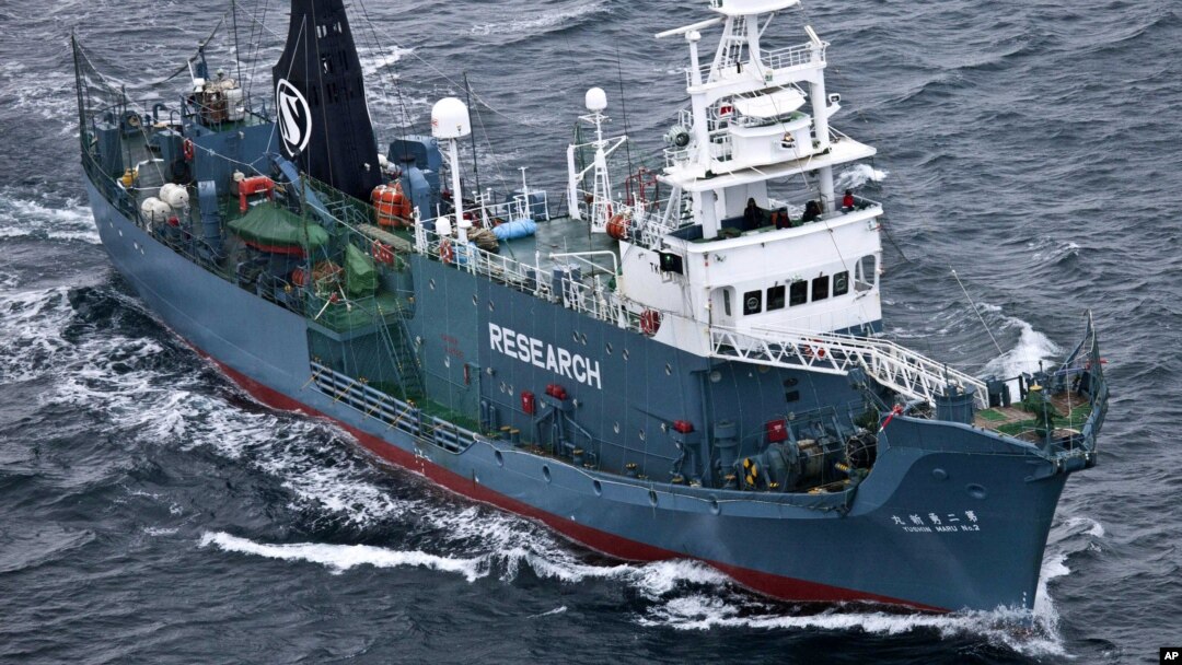 FILE - Japanese whaling ship Yushin Maru No. 2 sails in the Southern Ocean off Antarctica.