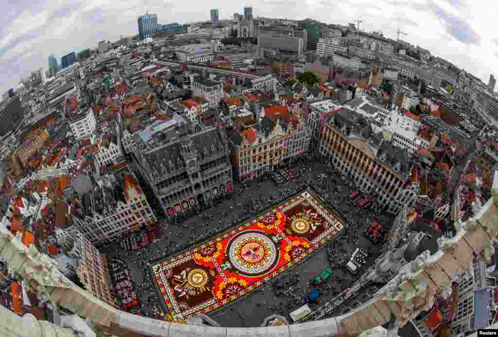 A 1,800 square meters flower carpet is seen at Brussels' Grand Place, Belgium. More than 500,000 flowers were used to create the Latin American theme "Guanajuato, cultural pride of Mexico."