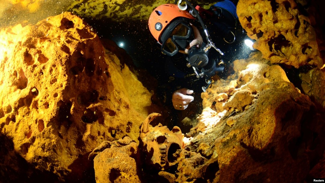 A scuba diver looks at an animal skull at Sac Aktun underwater cave system during exploration as part of the Gran Acuifero Maya Project near Tulum, in Quintana Roo state, Mexico, Feb. 12, 2014.