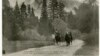 Quiz: America's Presidents: Theodore Roosevelt