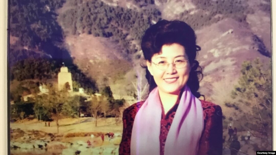 前中共中央黨校教授蔡霞(資料照片)