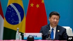 中國國家主席習近平 (資料圖片)