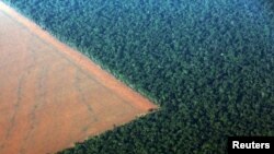 El bosque nebuloso del Amazonas bordeado por tierra deforestada para plantar soja en el estado brasileño de Mato Grosso.