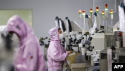  江蘇省泗洪縣一個芯片工廠的工人在生產線上。（2020年2月16日） 