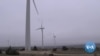 More Wind Power, Renewables Needed to Fight Climate Change, Experts Warn