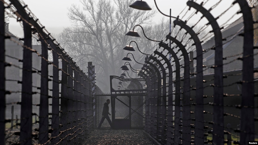 A visitor walks between electric barbed-wired fences at the Auschwitz-Birkenau memorial and former concentration camp November 18, 2013. 
