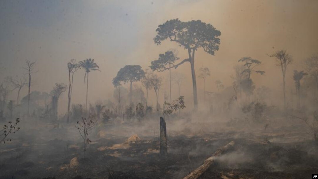 FILE - In this Aug. 23, 2020 file photo, fire consumes land recently deforested by cattle farmers near Novo Progresso, Para state, Brazil. (AP Photo/Andre Penner, File)