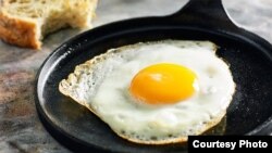 a fried egg