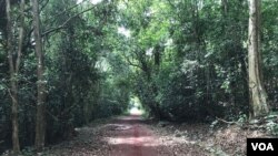 A path of red clay runs through a forest outside Ho Chi Minh City, Vietnam. (VOA News)