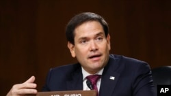 佛罗里达州共和党参议员鲁比奥的资料照片在参议院发表讲话。（2020年5月5日）