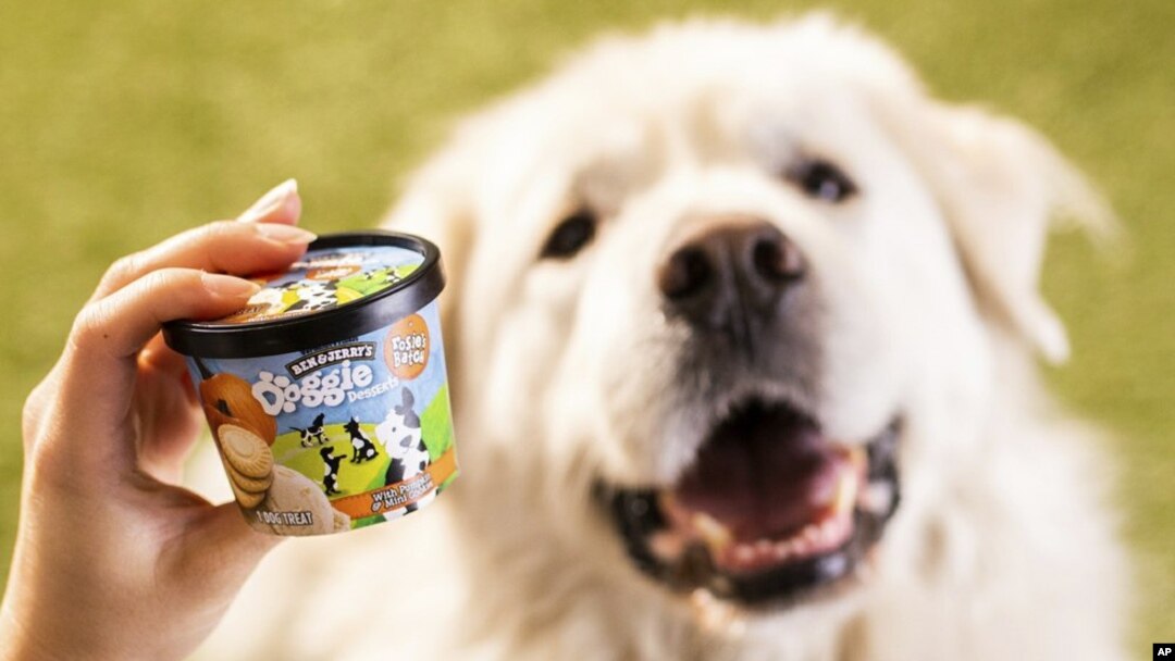 This photo provided by Ben & Jerry’s shows Ben & Jerry’s dog treats. The venerable Vermont ice cream company said Thursday, Jan. 7, 2021, it’s introducing a line of frozen dog treats, its first foray into the lucrative pet food market. 