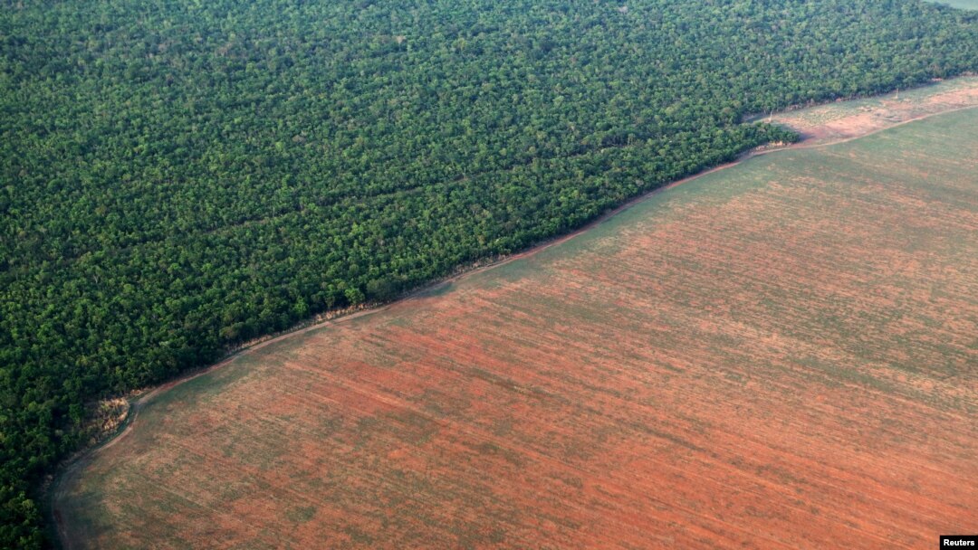 FILE - The Amazon rainforest (L), bordered by deforested land prepared for the planting of soybeans, is pictured in this aerial photo taken over Mato Grosso state in western Brazil, Oct. 4, 2015.