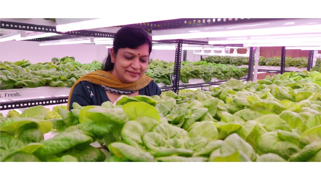 Pratibha Aggarwal helped her son launch the venture 9Growers. (Anjana Pasricha/VOA)