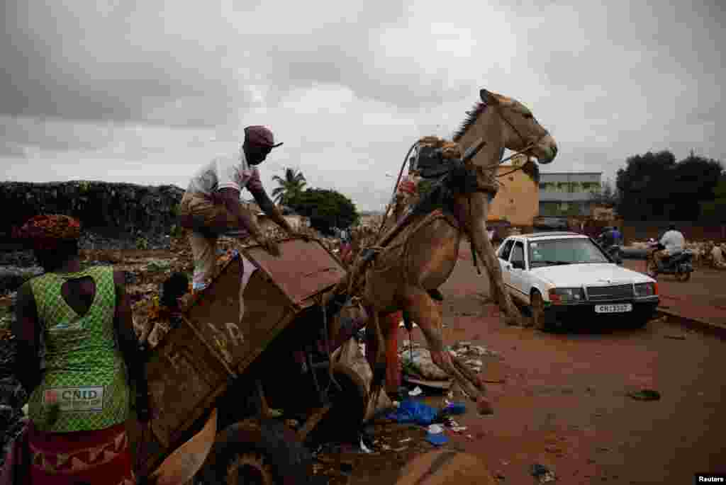 A waste picker unloads garbage at a waste transfer station in Bamako, Mali.