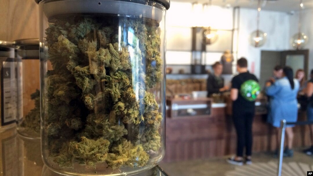 FILE - In this April 20, 2016, photo, customers buy products at the Harvest Medical Marijuana Dispensary in San Francisco. In November, the state's voters will decide whether to legalize the drug's recreational use.