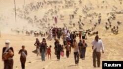 FILE - Displaced minority Yazidis, fleeing violence from forces loyal to the Islamic State in Sinjar town, walk toward the Syrian border, on the outskirts of Sinjar mountain, near Elierbeh of Al-Hasakah Governorate, Aug. 10, 2014. 