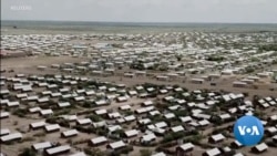 Moving Energy Initiative Engages Refugees in Producing Clean Energy