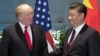 资料照: 时任美国总统特朗普与中国国家主席习近平2017年7月在G-20会议期间举行会晤。