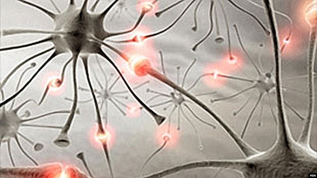 Developing countries bear most of the world's epilepsy burden. (WHO)