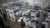 Empresa que asiste a migrantes detenidos en EEUU debe pagar multa millonaria por prácticas engañosas