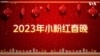 爱国主义教育法，迎接更多“小粉红”