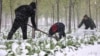 资料照片: 2021年11月7日中国山东省农民降雪期用塑料薄膜覆盖蔬菜作物