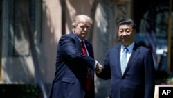 美国总统川普与中国国家主席习近平在佛罗里达海湖庄园