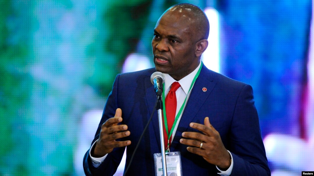 The head of Heir Holdings wants to kick-start hundreds of new jobs and businesses in Africa. Tony Elumelu (above) spoke in Abuja last April.