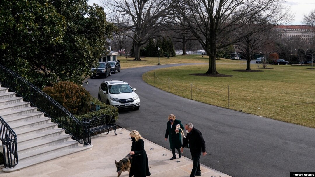 U.S. First Lady Jill Biden guides one of the family dogs, Champ, on his arrival at the White House