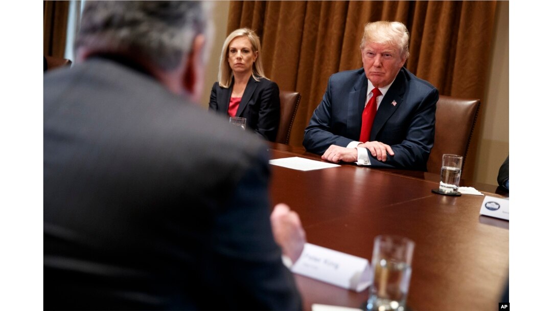 Secretary of Homeland Security Kirstjen Nielsen and President Donald Trump listen to Rep. Peter King, R-N.Y., during a meeting with law enforcement officials on the MS-13 street gang and border security, in the Cabinet Room of the White House, Feb. 6, 2018.
