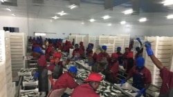 Angola precisa de mais de 30.000 milhoes de dolares de investimentos anuais para diversifcar a economia – 1:56