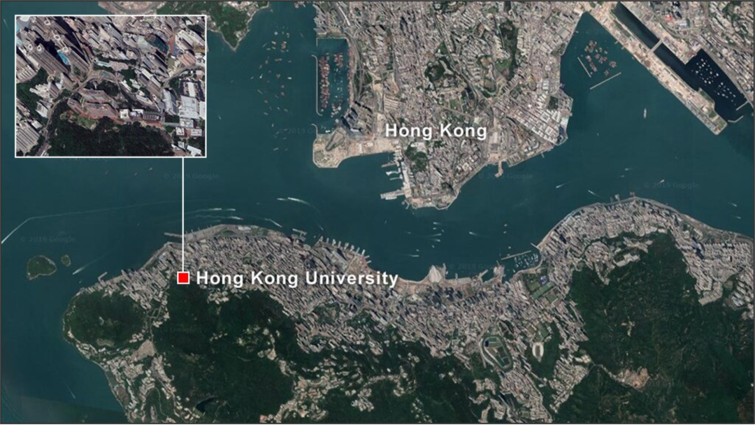 Hong Kong University