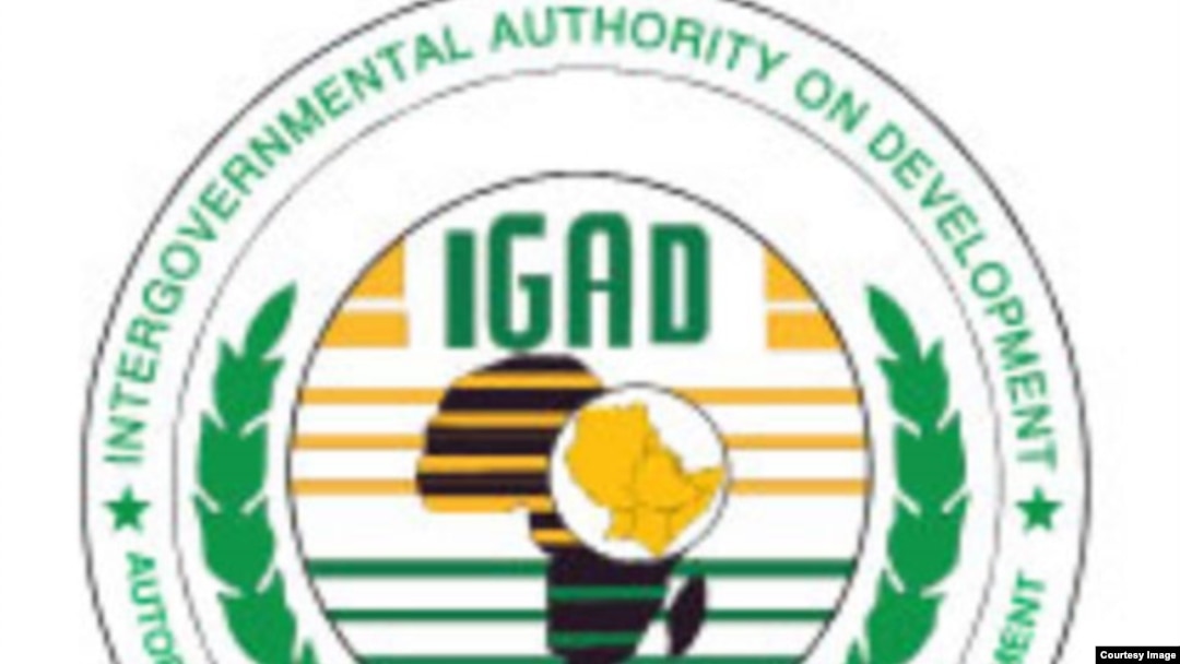 Intergovernmental Authority on Development (IGAD) logo